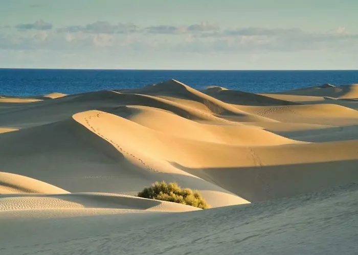 Olas Mar * פלאייה דל אינגלז